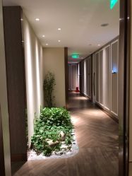-艾维庭美学SPA