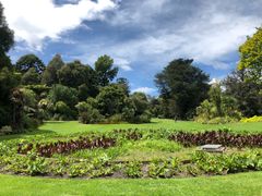 -墨尔本皇家植物园