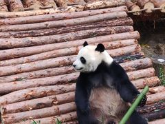 -黔灵山公园