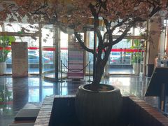 -东方之珠洗浴休闲广场(南开店)