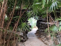 -石家庄市植物园