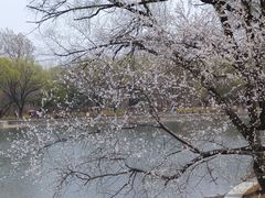 -北陵公园