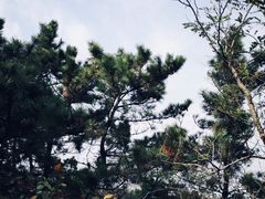 -浮山香苑