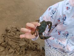 -象山黄金海岸雷迪森酒店