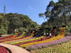 -广州市石门国家森林公园