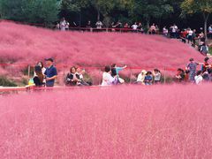-牛岗山公园