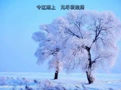 -雪谷