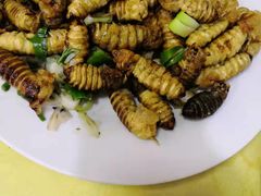 -华龙特色大骨鸡农家菜馆