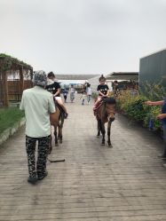 点击看大图 -小蜜蜂农场(凯德七宝购物广场店)
