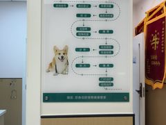 -瑞派康怡24h宠物医院·犬猫医疗中心·微创绝育(瑞景分院)