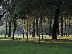 -二一九公园
