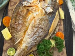 -龟兹KUCINA·新疆菜(前滩L+PLAZA店)