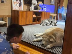 -大江户·温泉洗浴(浑南店)