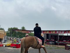 -张北坝上草原