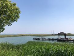 -苏州太湖湖滨国家湿地公园