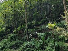 -青城山
