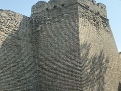 -保定市动物园
