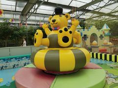 -南宫五洲植物乐园