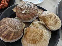 -王潮活海鲜自助·蒸汽海鲜