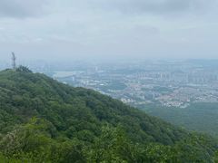 -紫金山索道-售票处