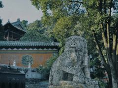 -报恩寺(平武县)