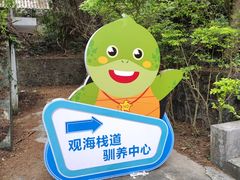 -广东惠东海龟国家级自然保护区