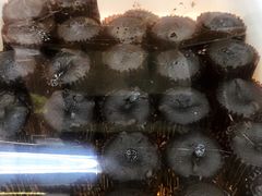 -百年义利(百万庄店)