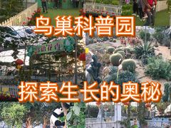 -盈香心动乐园