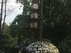 -天赐温泉