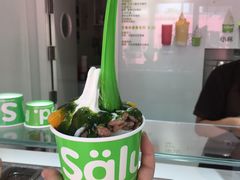-Salud撒露欧洲冻酸奶(798艺术区店)
