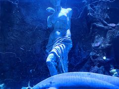 -太平洋海底世界