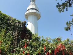 -烟台山景区