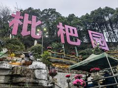 -枇杷园食为鲜火锅(南山店)