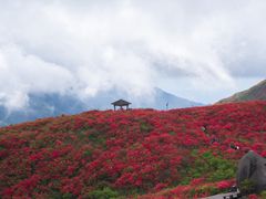 -大围山国家森林公园