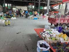 -何庄子阿米玛玛农产品批发市场