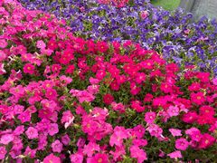 -长乐公园游乐场