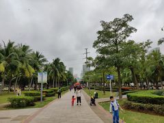 -万绿园