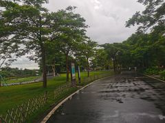 -海珠湖公园
