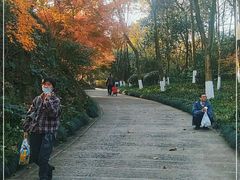 -杭州少年儿童公园