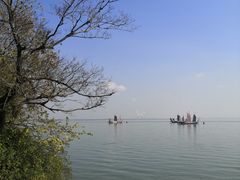 -贡湖湾湿地公园
