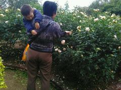 -人民公园(罗湖区)