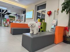 -全心全意动物诊疗中心医院(北苑店)