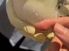 -肆月河豚·淮扬菜·湘菜(华天店)