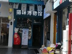 -猫咪博物馆(顶澳仔猫街店)