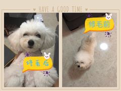 -MOLLY'S萌宠生活馆
