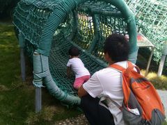 -广东茂名森林公园