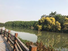 -大湾区中央湿地公园