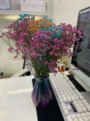 -痘敏医生专业祛痘连锁