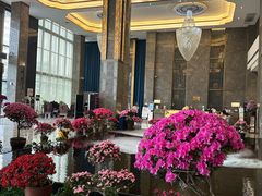-桂林碧玉国际大酒店-碧玺茶餐厅