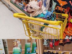 -帕帕拉兹宠物(亚洲旗舰店)